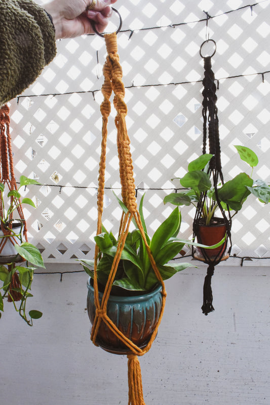 Macrame Plant Hanger