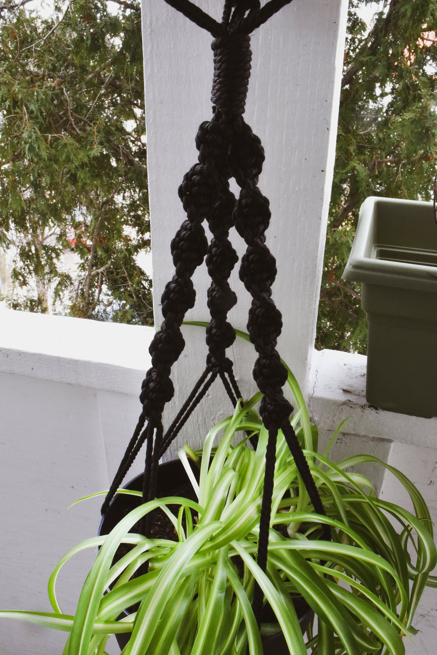 Macrame Plant Hanger