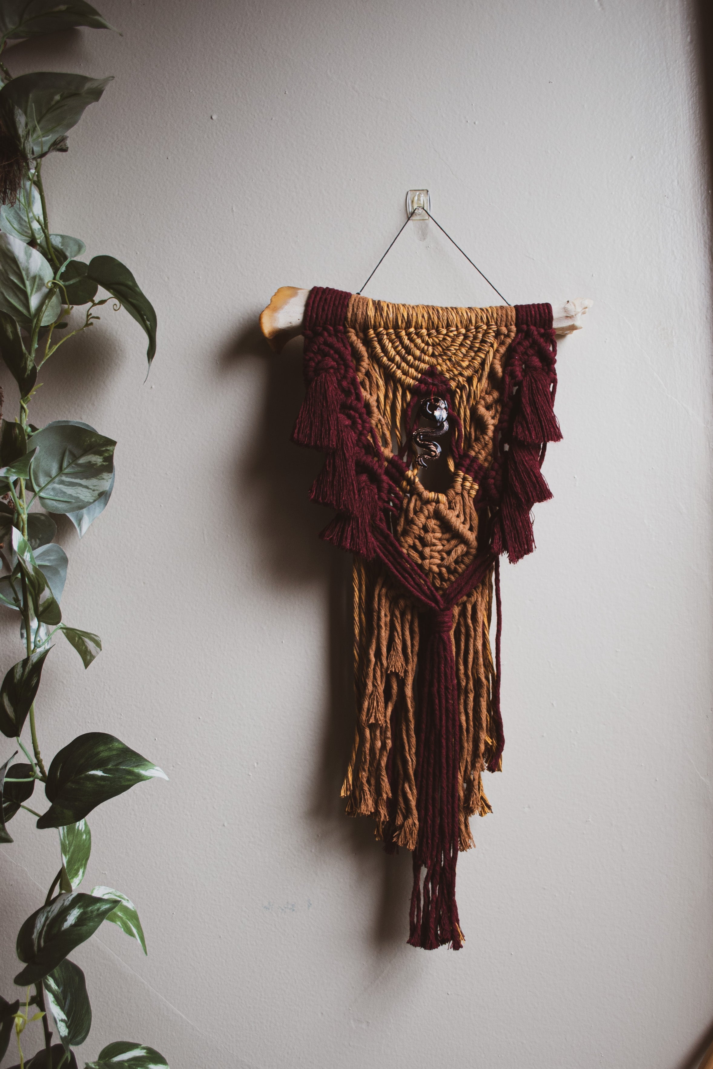 Unique Finds