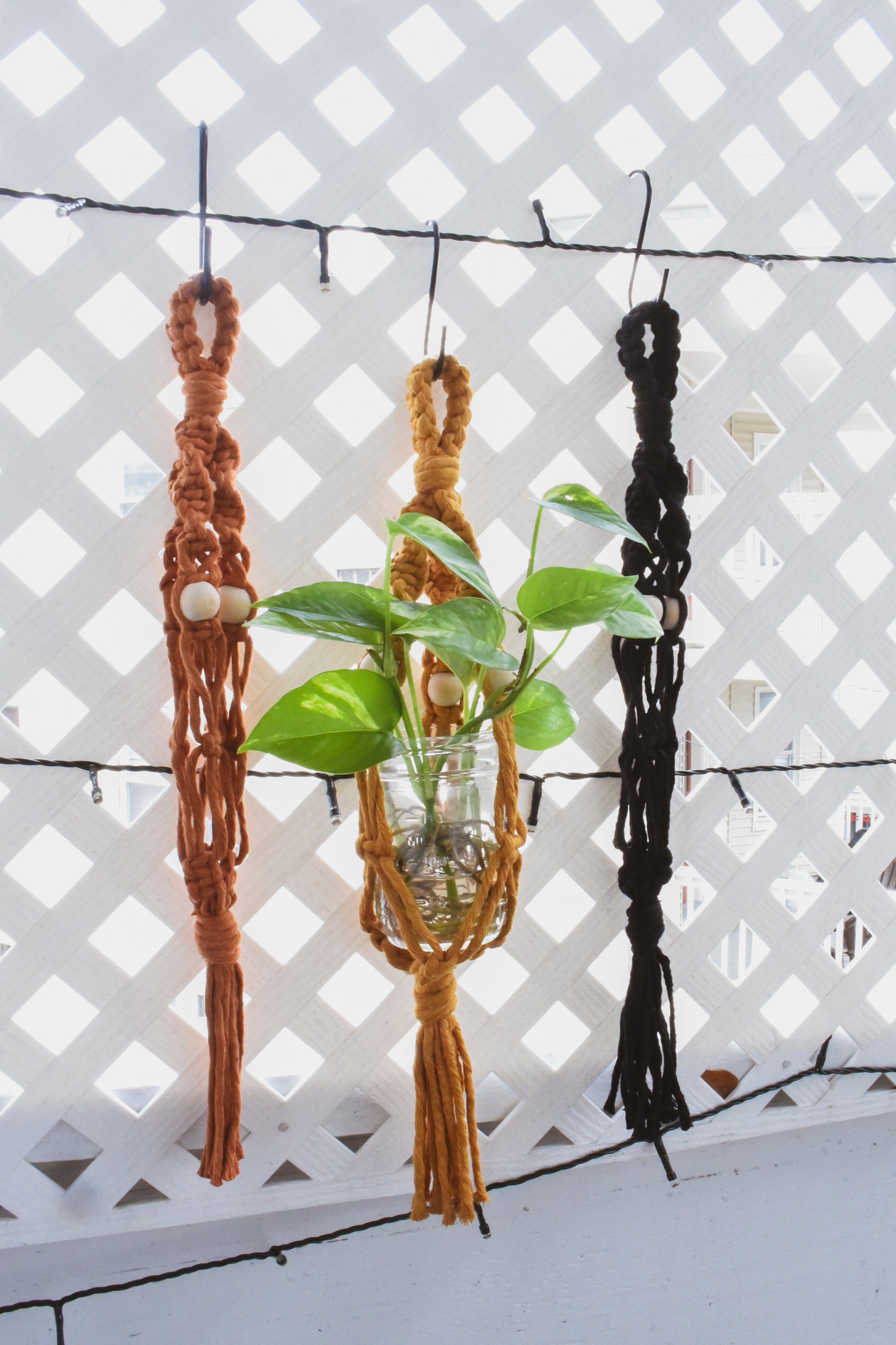 Macrame Plant Hanger