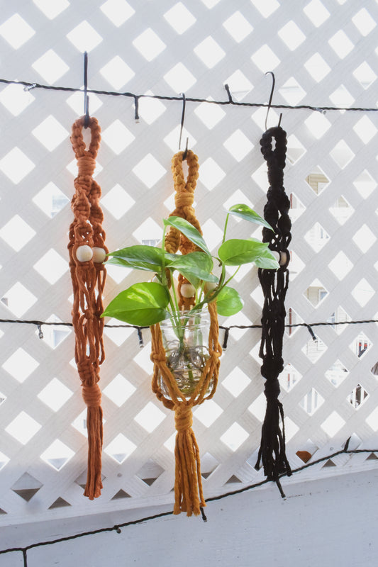 Macrame Plant Hanger