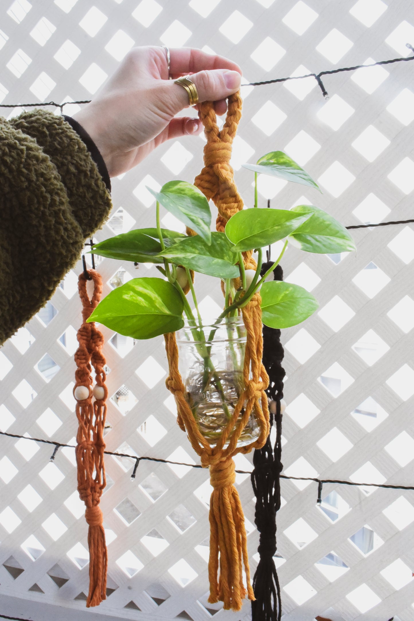 Macrame Plant Hanger
