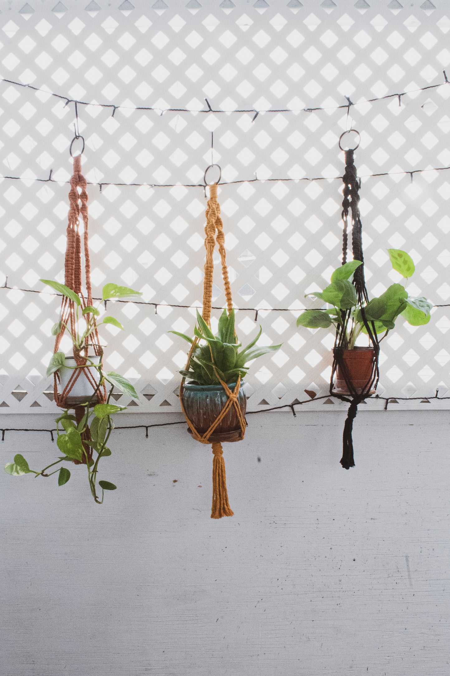 Macrame Plant Hanger