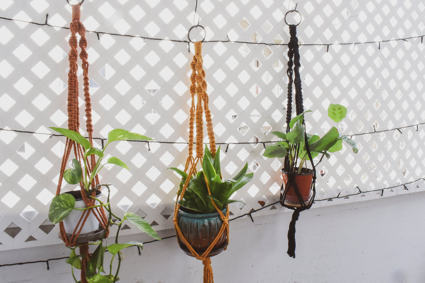 Macrame Plant Hanger