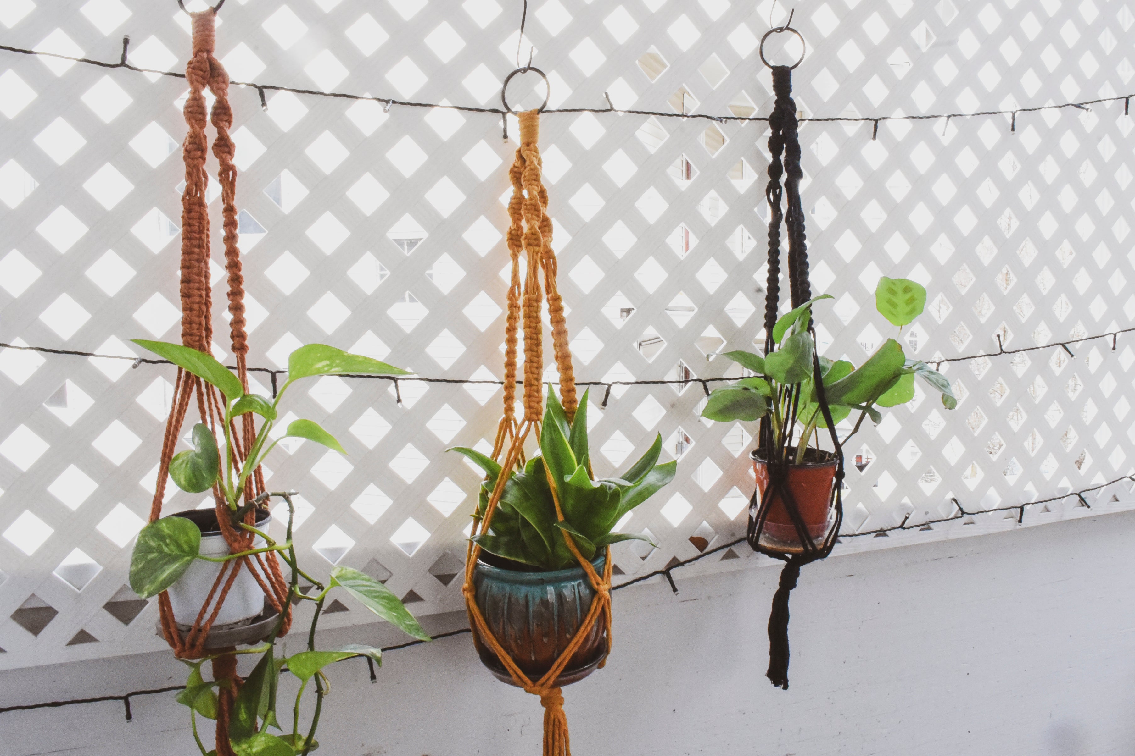 Macrame Plant Hanger