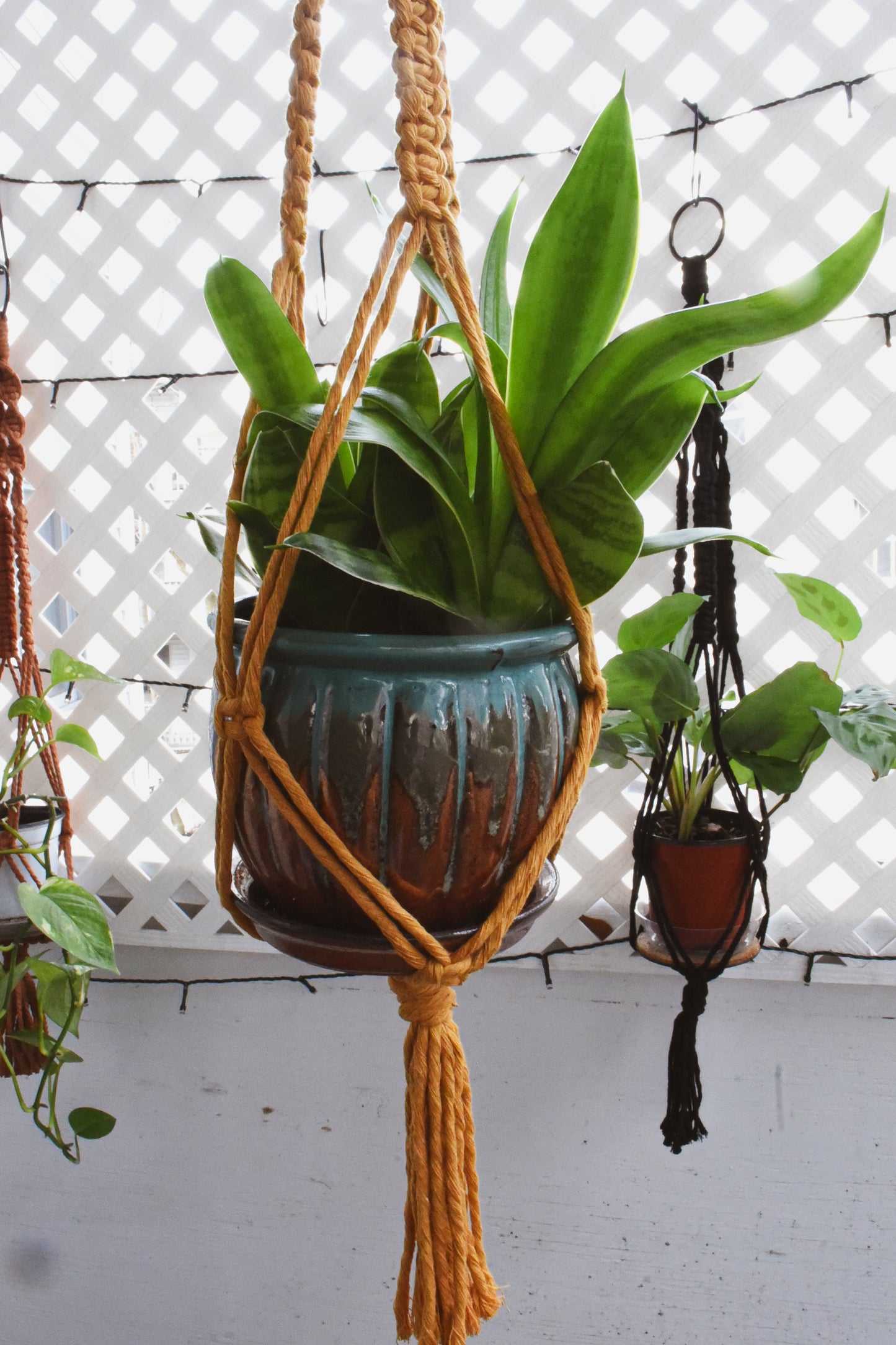 Macrame Plant Hanger