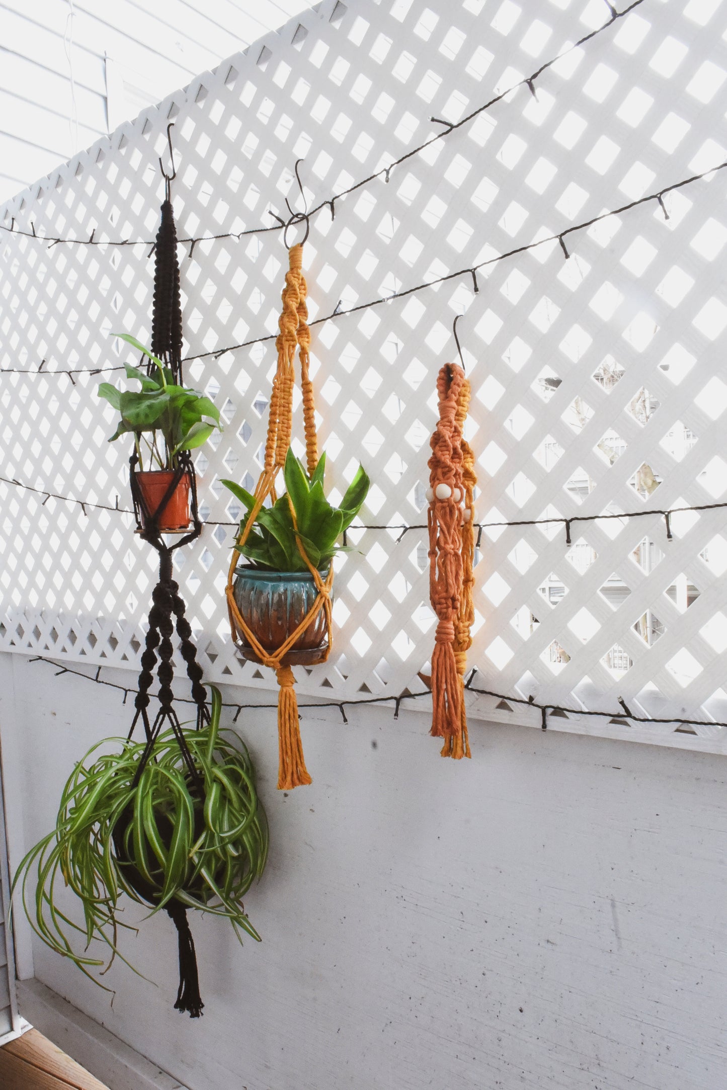 Macrame Plant Hanger