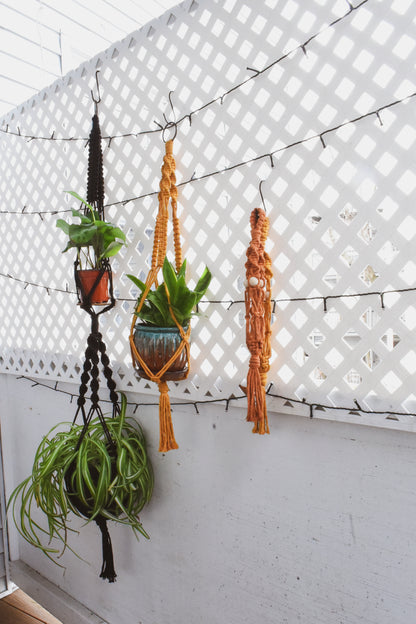Macrame Plant Hanger