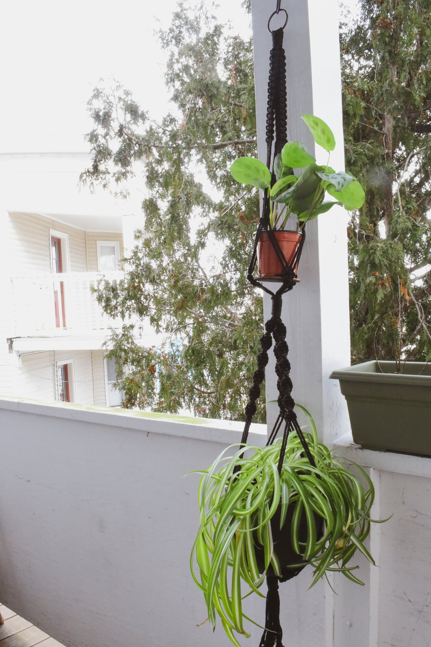 Macrame Plant Hanger