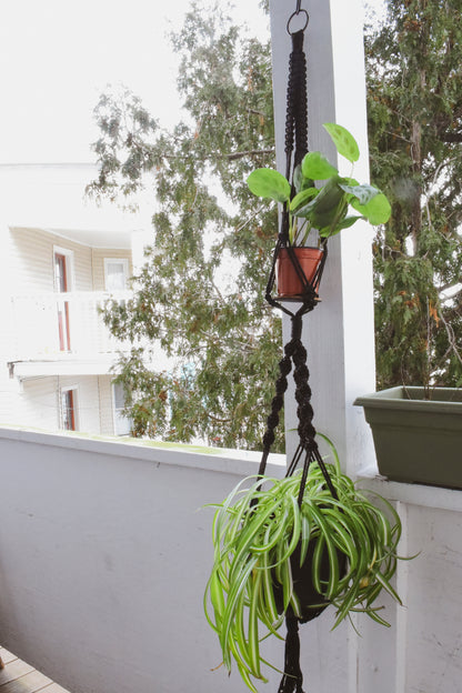 Macrame Plant Hanger